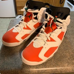 Jordan retro 6s Gatorade